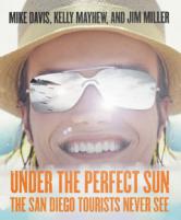 Under the Perfect Sun